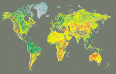 world values survey site